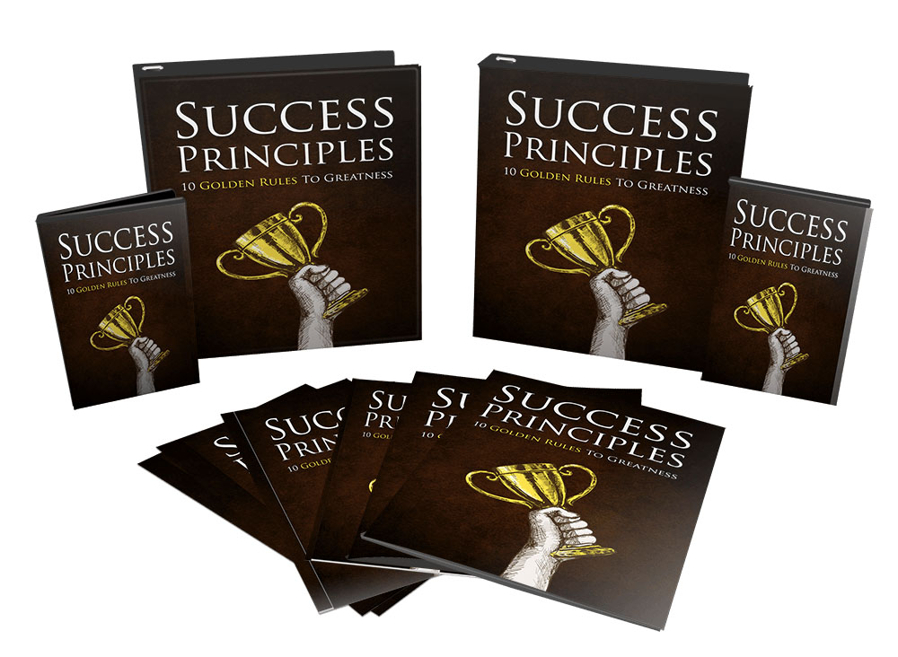 Know Success Principles in this video course